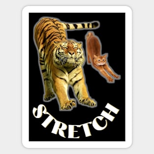 Stretch exercise by a tiger and a cat - white text Sticker